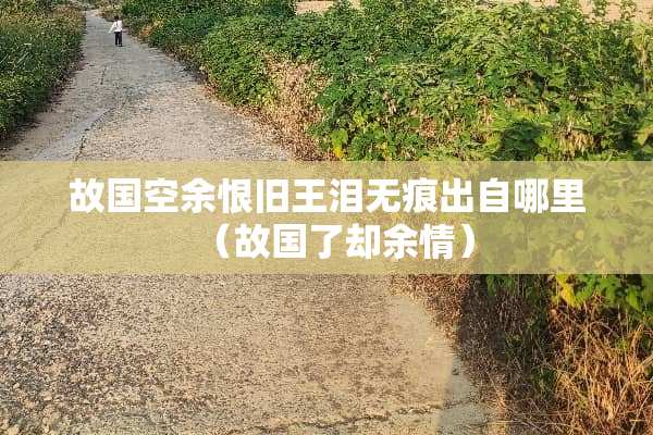 故国空余恨旧王泪无痕出自哪里（故国了却余情）