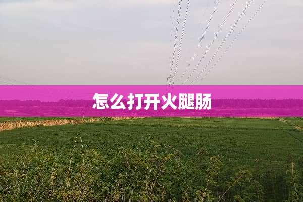 怎么打开火腿肠
