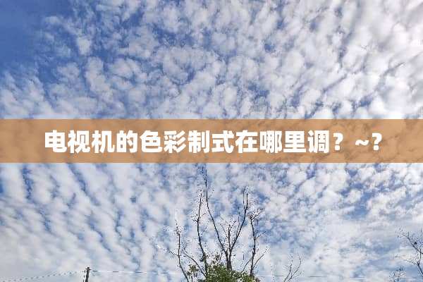 电视机的色彩制式在哪里调？~？