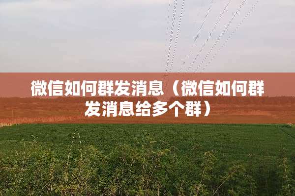 微信如何群发消息（微信如何群发消息给多个群）