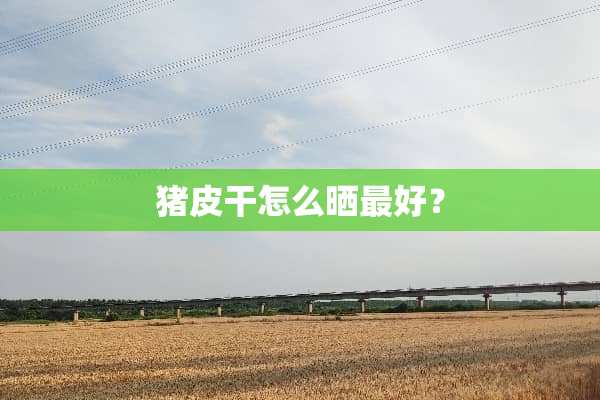 猪皮干怎么晒最好？