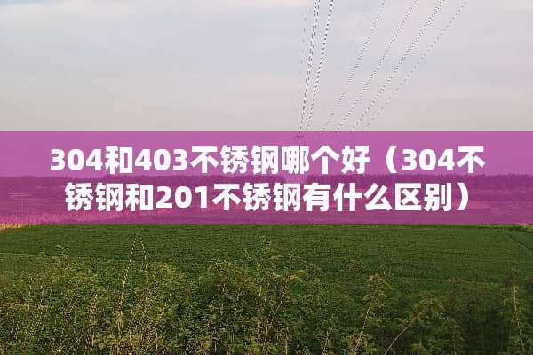 304和403不锈钢哪个好（304不锈钢和201不锈钢有什么区别）