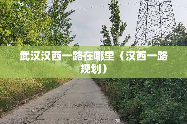 武汉汉西一路在哪里（汉西一路规划）