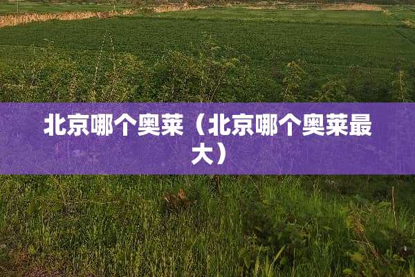 北京哪个奥莱（北京哪个奥莱最大）