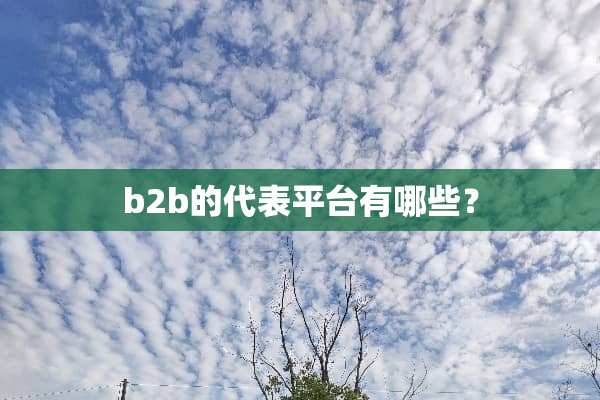 b2b的代表平台有哪些？