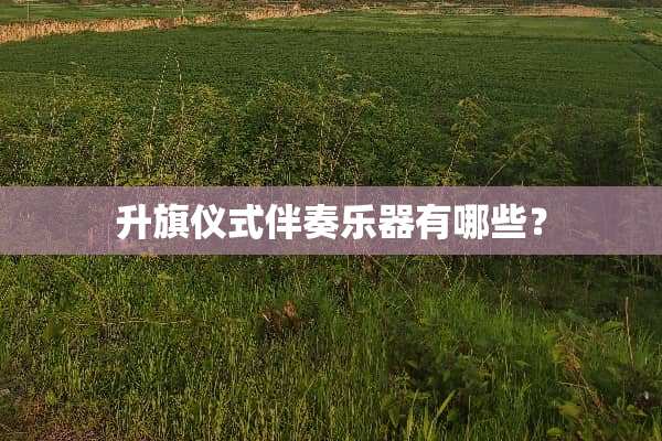 升旗仪式伴奏乐器有哪些？