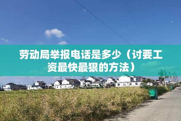 劳动局举报电话是多少（讨要工资最快最狠的方法）
