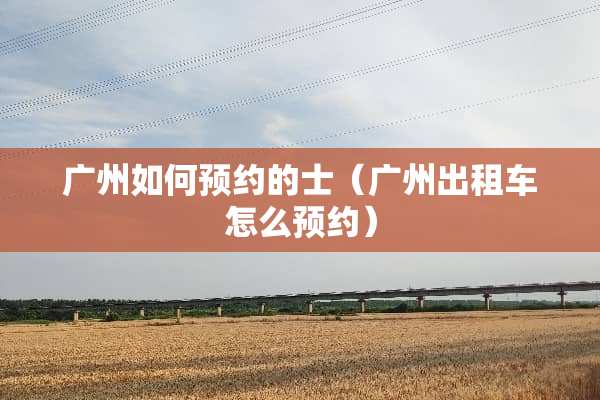 广州如何预约的士（广州出租车怎么预约）