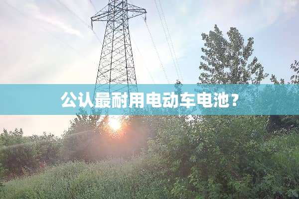 公认最耐用电动车电池？
