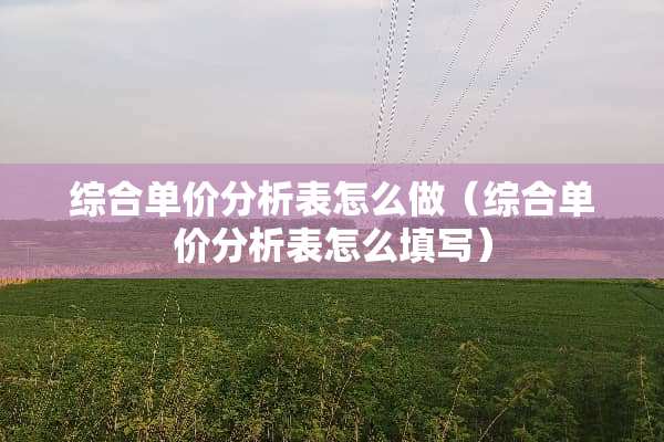 综合单价分析表怎么做（综合单价分析表怎么填写）