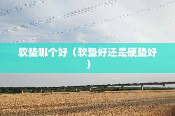 软垫哪个好（软垫好还是硬垫好）
