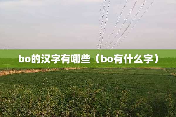 bo的汉字有哪些（bo有什么字）