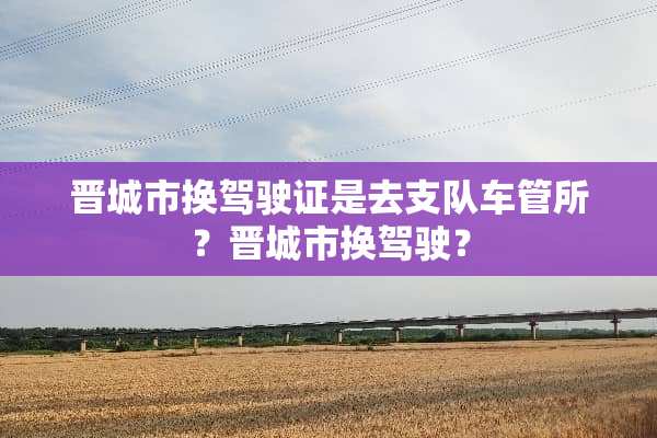 晋城市换***是去支队车管所？晋城市换驾驶？