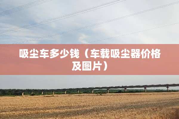 吸尘车多少钱（车载吸尘器价格及图片）