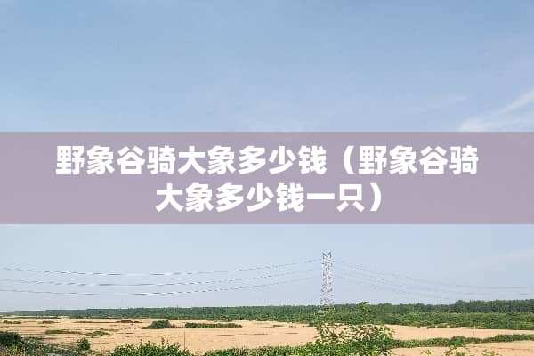 野象谷骑大象多少钱（野象谷骑大象多少钱一只）