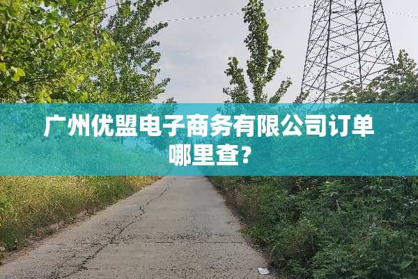 广州优盟电子商务有限公司订单哪里查？