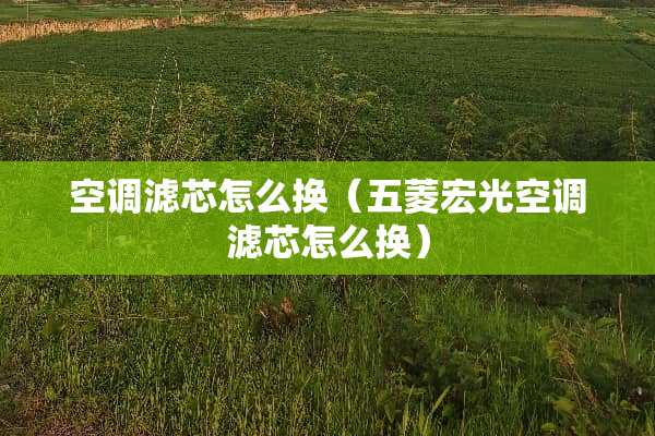 空调滤芯怎么换（五菱宏光空调滤芯怎么换）