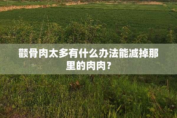 颧骨肉太多有什么办法能减掉那里的肉肉？