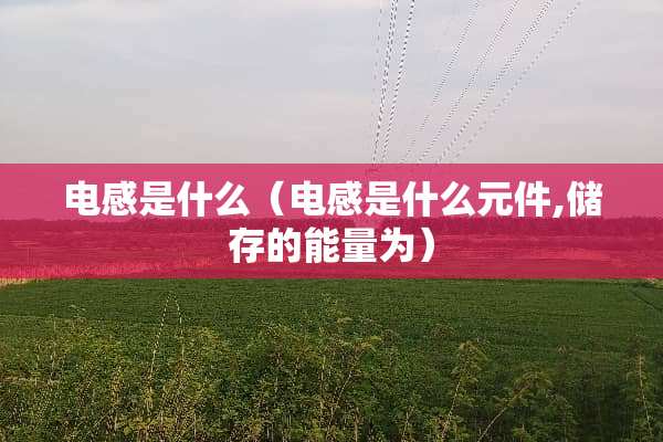 电感是什么（电感是什么元件,储存的能量为）
