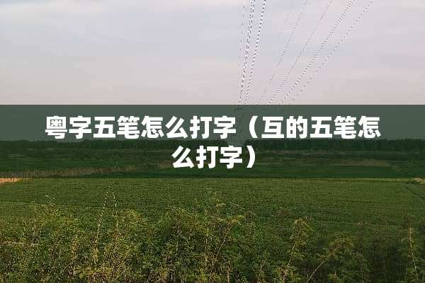 粤字五笔怎么打字（互的五笔怎么打字）