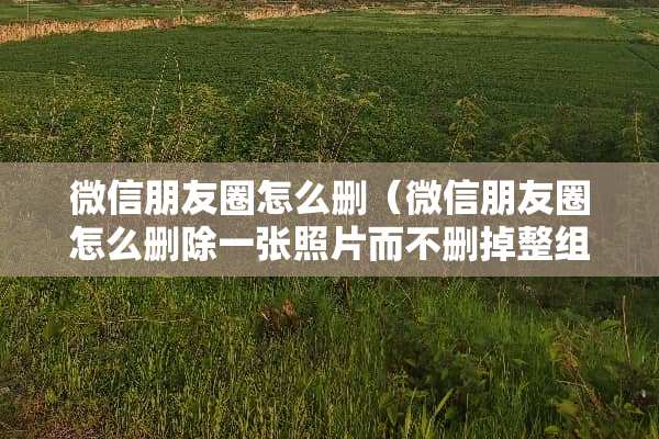 微信朋友圈怎么删（微信朋友圈怎么删除一张照片而不删掉整组照片）