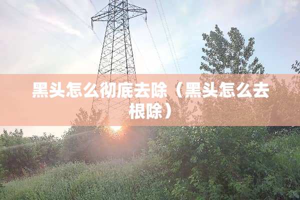 黑头怎么彻底去除（黑头怎么去根除）