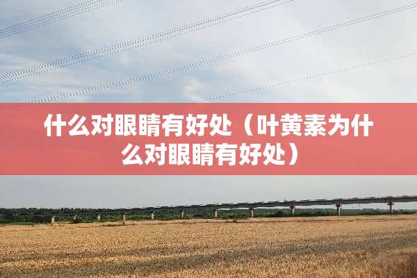 什么对眼睛有好处（叶黄素为什么对眼睛有好处）