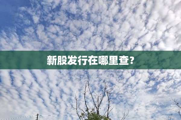 新股发行在哪里查？
