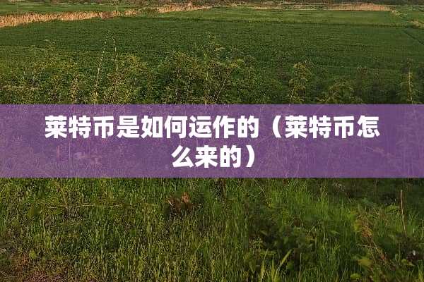 莱特币是如何运作的（莱特币怎么来的）