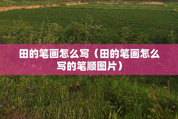 田的笔画怎么写（田的笔画怎么写的笔顺图片）
