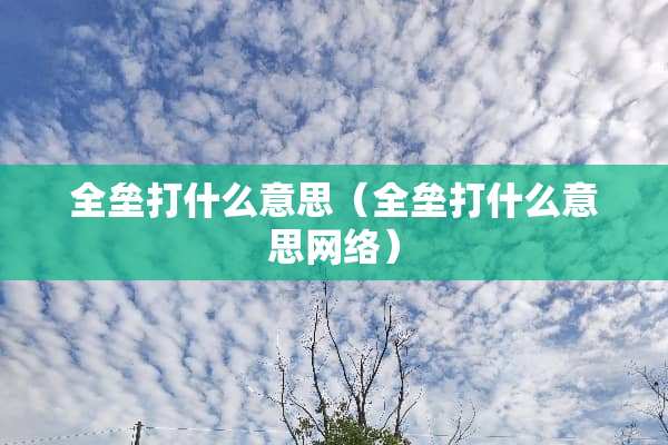 全垒打什么意思（全垒打什么意思网络）