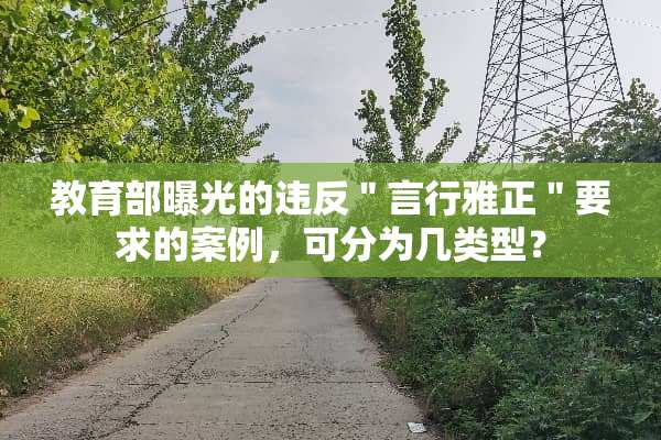 教育部曝光的违反＂言行雅正＂要求的案例，可分为几类型？