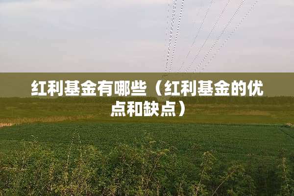 红利基金有哪些（红利基金的优点和缺点）