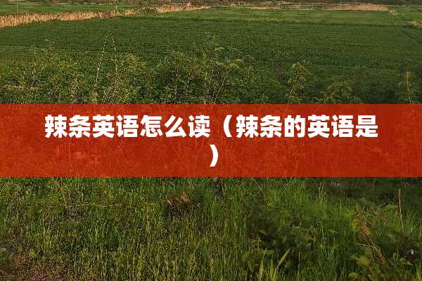 辣条英语怎么读（辣条的英语是）