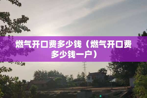 燃气开口费多少钱（燃气开口费多少钱一户）