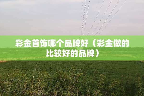 **首饰哪个品牌好（**做的比较好的品牌）