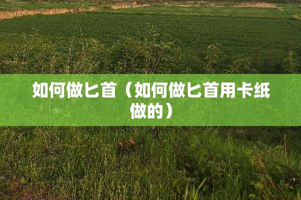 如何做**（如何做**用卡纸做的）