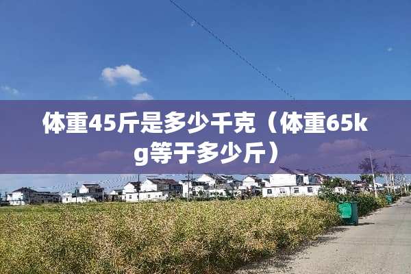 体重45斤是多少千克（体重65kg等于多少斤）
