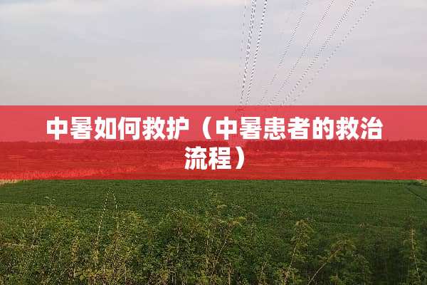 中暑如何救护（中暑患者的救治流程）