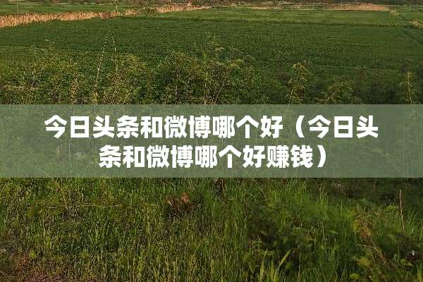 今日头条和微博哪个好（今日头条和微博哪个好赚钱）