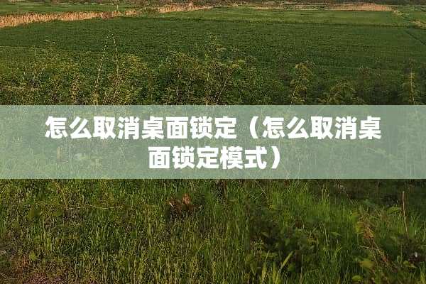 怎么取消桌面锁定（怎么取消桌面锁定模式）