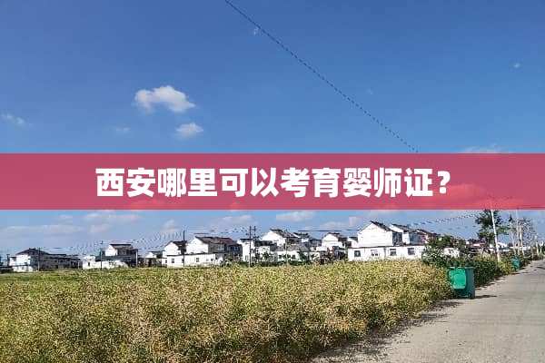 西安哪里可以考育婴师证？