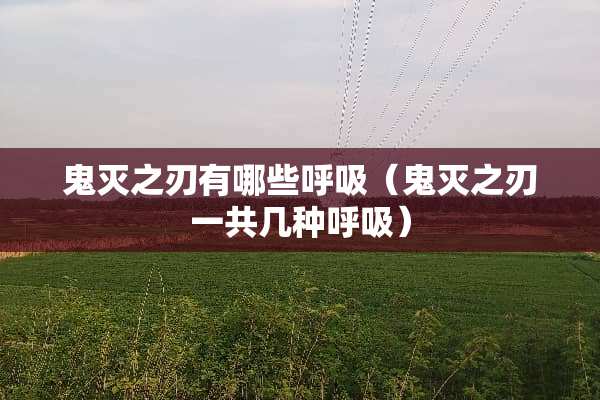 鬼灭之刃有哪些呼吸（鬼灭之刃一共几种呼吸）