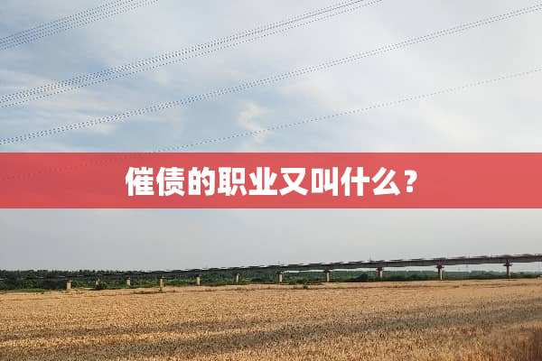 催债的职业又叫什么？