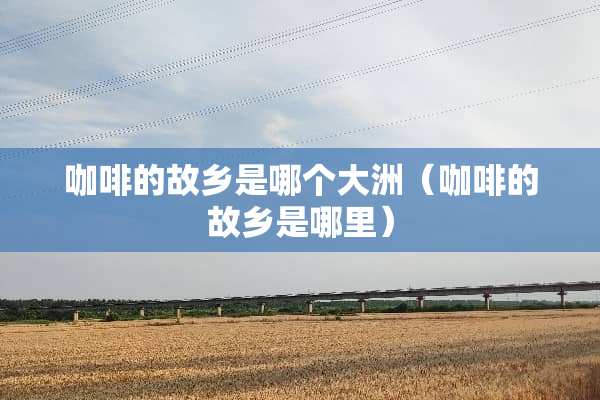 咖啡的故乡是哪个大洲（咖啡的故乡是哪里）