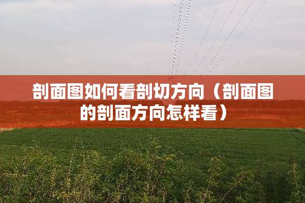 剖面图如何看剖切方向（剖面图的剖面方向怎样看）