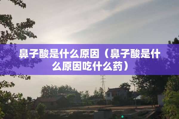 鼻子酸是什么原因（鼻子酸是什么原因吃什么药）