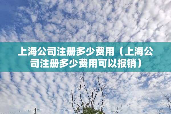 上海公司注册多少费用（上海公司注册多少费用可以报销）