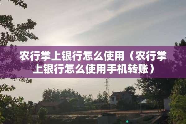 农行掌上银行怎么使用（农行掌上银行怎么使用手机转账）