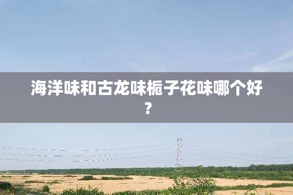 海洋味和古龙味栀子花味哪个好？